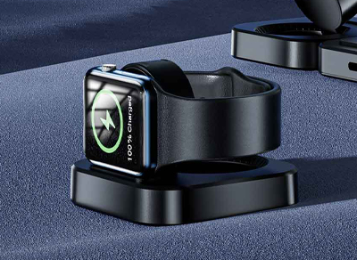 Multifunctional steam oven